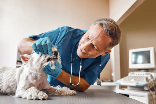 Best Emergency Wisdom Teeth Removal in Byron, CA